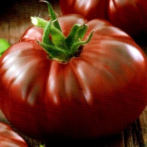 ����� ����������: ���������� ������� � ���������� ������ ��� ��������