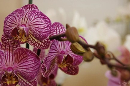 ������� � ����: ��� �������� ���������������� ������ ��� ����� �� ������������ ���������