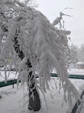 ����� ������ � ������ ��������� ���� ��������� ��������!