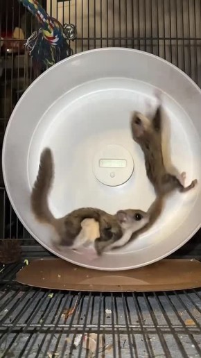 ������ ����! . ������ � �������