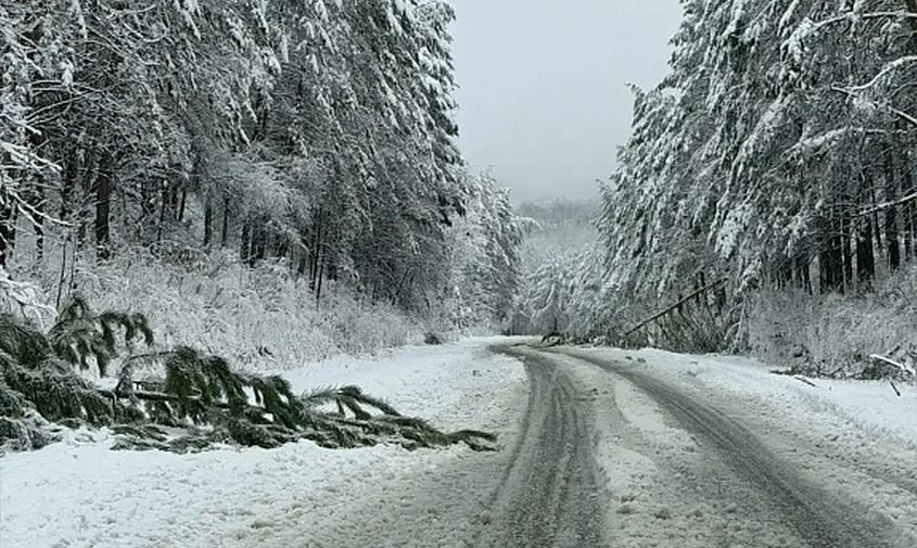 �������� ��������� � ��� �� ������ ������������ � ���������, ��� ����� ������������� ��������