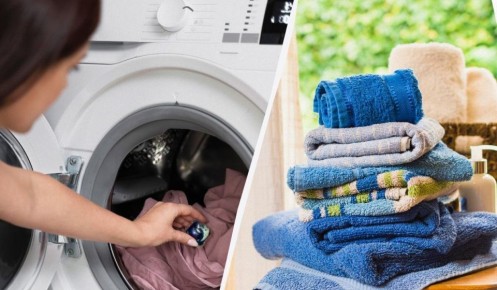 ��� ������� �������� ������� ����������: ��������� ������ �� ����� �����