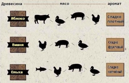 ��� ���� ������ ���� ��������� ����: ��������� ������