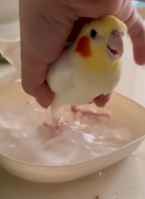 ������ ����!. �� ��������� ����� ���� ���� ���� ���� (�����)