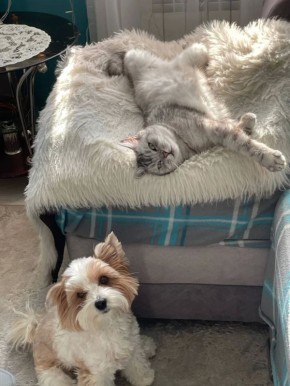 ������ ��������..#��������_���_��_���������_��