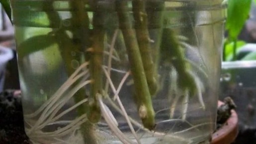 ������������� ��������� � ���������� �������� ��������