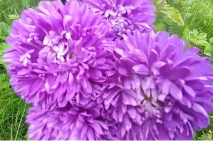 ��� ��������� ����� ����� ��� �������������� ����������