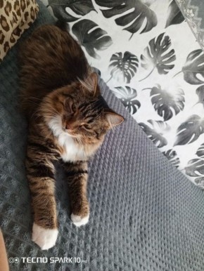 �������� �������: ���� ����� �������, ���� ������ ���� ����