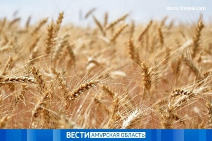 �������� � ��������� ��� ��������� ��-�� �������������� �����