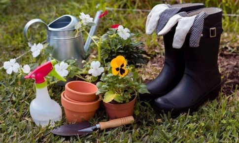 � ���� ����� ������� ���������� ������������� �������� ����� � �������� ��� ���� � �������