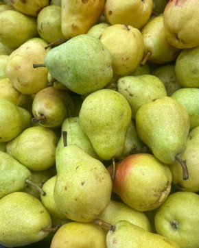 ������ �����: ����� ����� � ������ � �����������