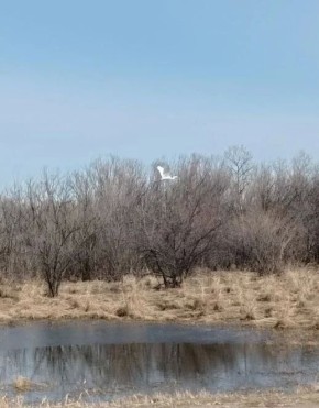 � ��� �� ������������: �������� ������������� ����� ���������� � ������� � ��������