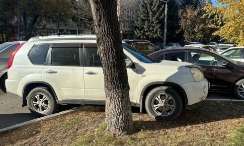 �� ������ ��������� �������������, ����������� �� �������, �������� ������� �� 120 000 ������