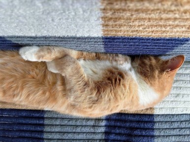 �������: ������ ���������. �������� ��� �� ��������� @ampravda