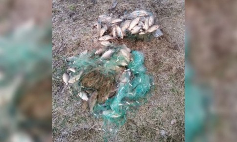 ��������� � ���������� ����� ������� ������������ ����������� � �������� �������