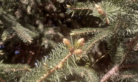 ������� ������ � �������� ������� �� 30 ������