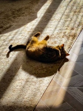 ��� � ������. �������� ��� �� ��������� @ampravda