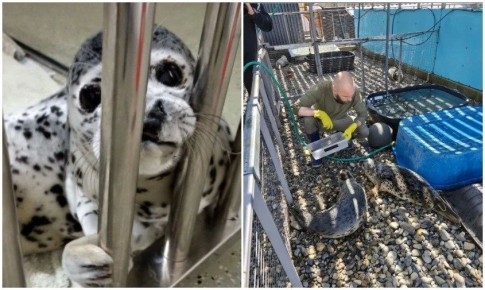 ���������� � �������� ������ � ������������� ����� �������� � ������