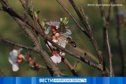 ������ � �����: ������� ������ �� 1 ��� � ���������