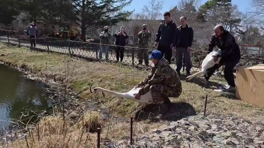 �� ����� � ���� �������� ����� ������ ���� ��������� ������ ���� � ��������