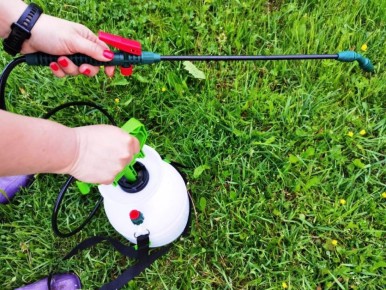 ��� ����������� ������ ������� � �����: ������ � ���-���� ��� ��������