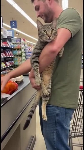 ������ ����!. �������� �������� �������