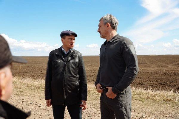 Посевная ранних зерновых в Приамурье выполнена более чем на 70%