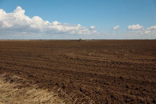 Посевная ранних зерновых в Приамурье выполнена более чем на 70% Посевная ранних зерновых в Приамурье выполнена более чем на 70%