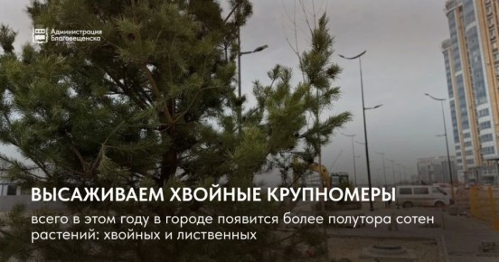 � ������������� ���������� ������� ����������