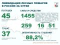 За прошедшие сутки в России потушен 45 лесных пожаров в 16 регионах