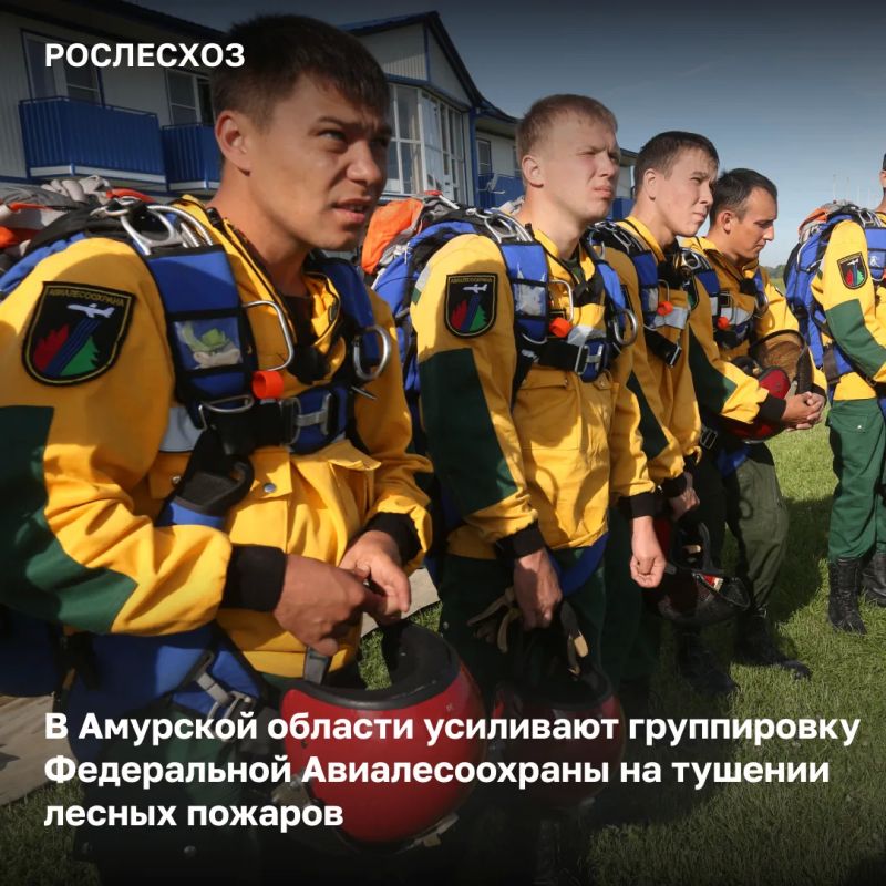 Для помощи в стабилизации лесопожарной обстановки в Амурскую область дополнительно направят 49 специалистов федрезерва