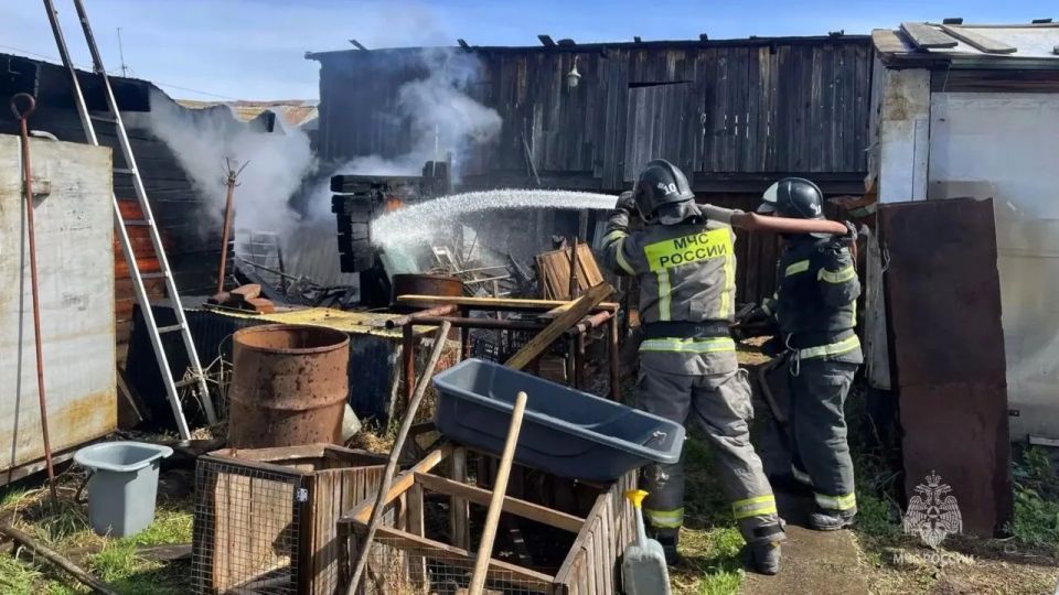 Пожарные спасли на пожаре два десятка кур Пожарные спасли на пожаре два десятка кур