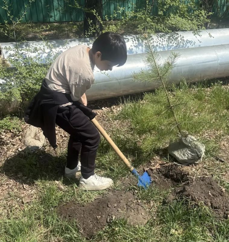 Две важные миссии — одна добрая весна! Две важные миссии — одна добрая весна!