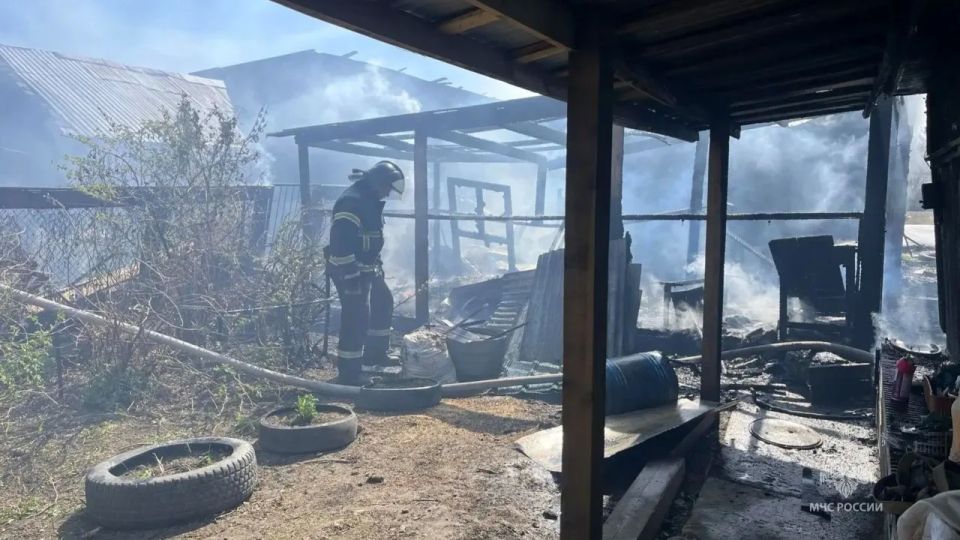 Пожарные спасли на пожаре два десятка кур Пожарные спасли на пожаре два десятка кур