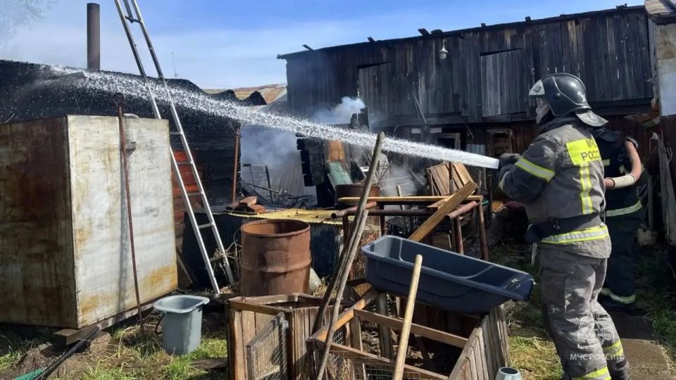 Пожарные спасли на пожаре два десятка кур Пожарные спасли на пожаре два десятка кур