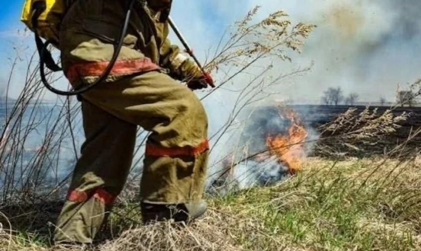 Действует 17 пожаров: в Приамурье ввели региональный режим ЧС