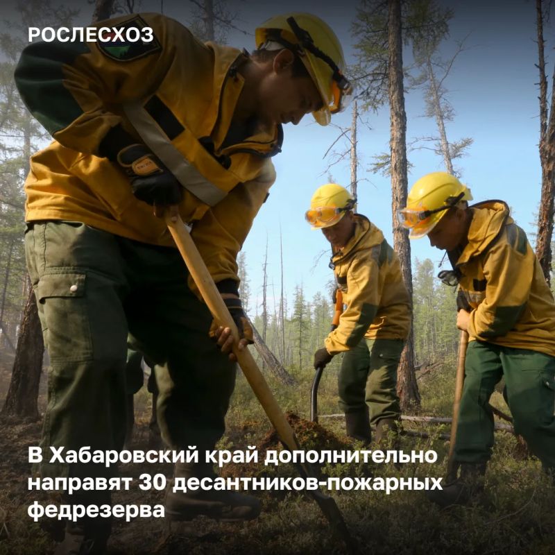 По данным на 11:00 мск 20 мая в Хабаровском крае проводится тушение 15 лесных пожаров на площади 9,5 тыс