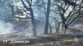 Цена беспечности. в пожароопасный сезон