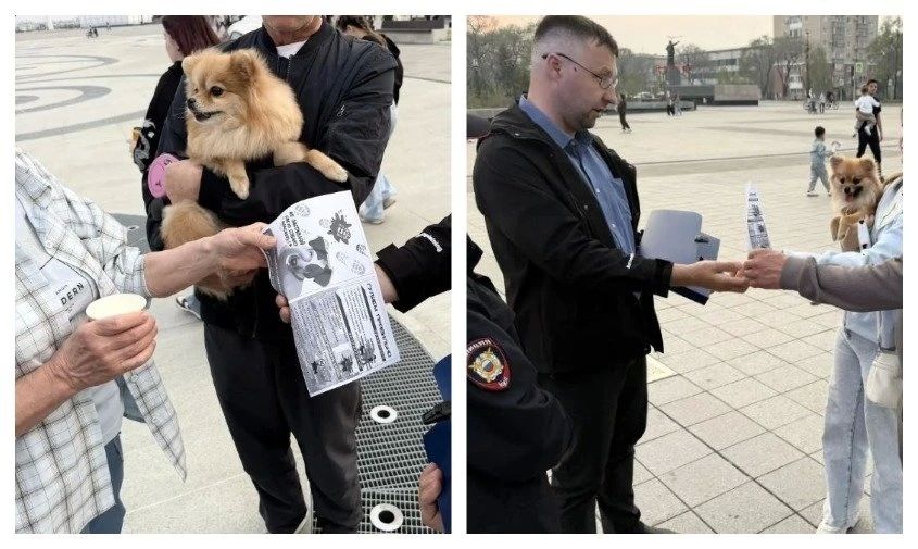«Ни одной в наморднике»: в Благовещенске проверили, как горожане гуляют со своими собаками
