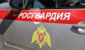 Двигался неуверенно и выезжал на «встречку»: в амурском селе задержали пьяного водителя