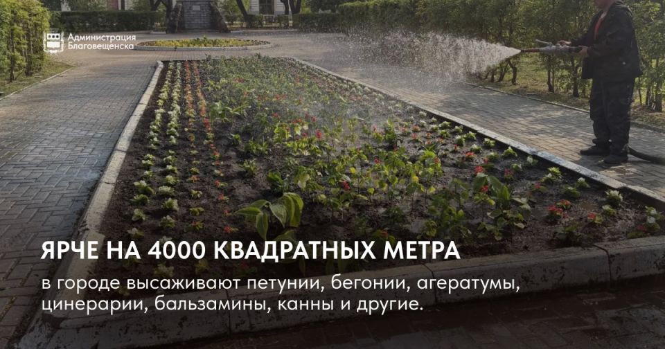 Благовещенск расцветает: город станет ярче на 4000 квадратных метров