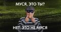 Муся, это ты? Нет, это мошенники позвонили от имени администрации