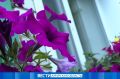 ����� � ������: � ������������� ������� �������, ������� � ������� ������ ��������