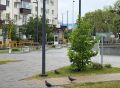 Сегодня вместе с заместителями и руководителем ГСТК прошли по нескольким точкам, чтобы оценить состояние и содержание наших скверов и улиц