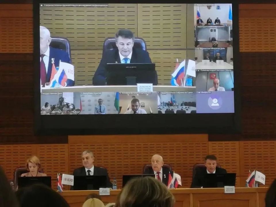 Члены молодежной избирательной комисси Амурской области стали слушателями выездного заседания комитета Госдумы по развитию Дальнего Востока и Арктики Члены молодежной избирательной комисси Амурской области стали слушателями выездного заседания комитета Госдумы по развитию Дальнего Востока и Арктики