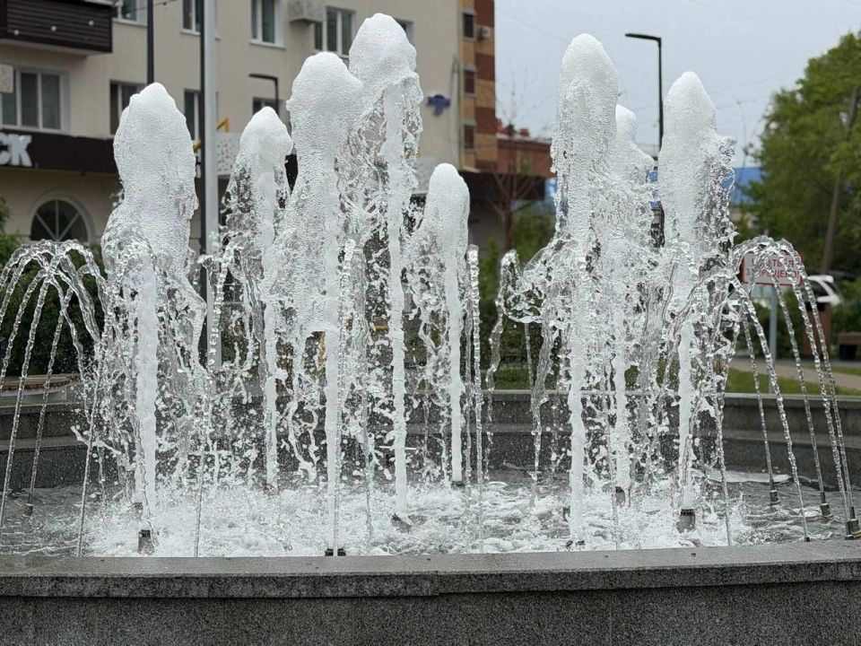 Вопрос санитарии: благовещенцы продолжают кормить голубей в скверах, несмотря на запреты Вопрос санитарии: благовещенцы продолжают кормить голубей в скверах, несмотря на запреты