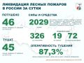 За прошедшие сутки в России потушено 46 лесных пожаров в 15 регионах