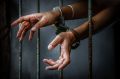 В Завитинском муниципальном округе осужденная за неуплату алиментов не встала на путь исправления и лишилась свободы