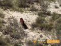 � ���� ��������� ����� � ��������� �������, ������� ��������� � ���������