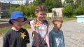 Пришкольные, загородные, палаточные